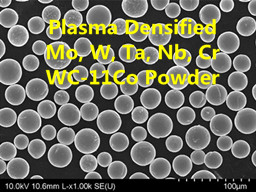 Plasma Densified Powder